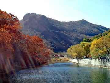 新澳天天开奖资料大全旅游团，孔雀神木